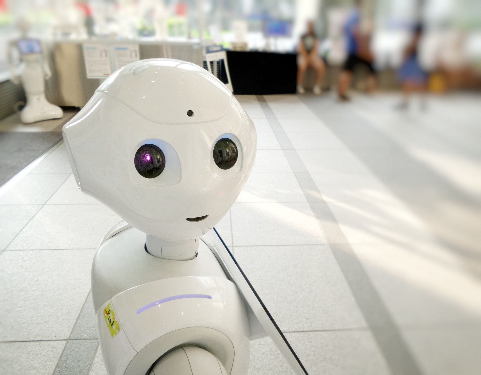 A small robot looking toward the camera